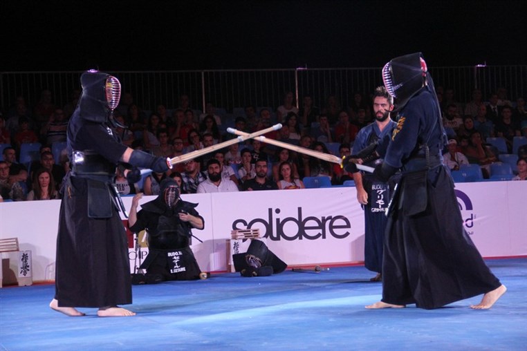 Martial Arts Festival